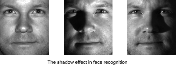 ../../_images/rpca_shadow.png